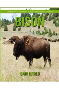 Bison