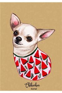 Chihuahua Journal
