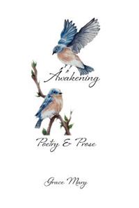 Awakening