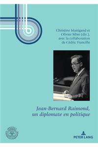 Jean-Bernard Raimond, Un Diplomate En Politique