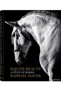 Equine Beauty