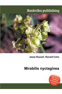 Mirabilis Nyctaginea