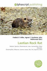 Laotian Rock Rat