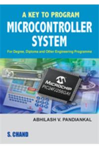 A Key To Program Microcontroller System