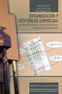 Organizacion y gestion de empresas: Analisis de balances, control economico, inversiones y financiacion