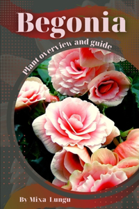 Begonia