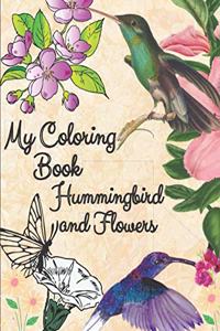 my coloring book hummingbird and flowers