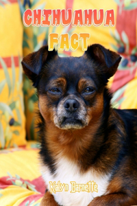 Chihuahua Fact