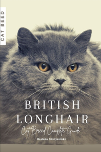 British Longhair