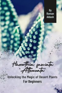 Haworthia fasciata 'Attenuata'