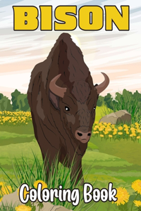 Bison Coloring Book
