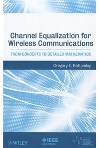 Channel Equalization for Wireless Communications