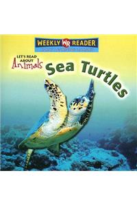 Sea Turtles