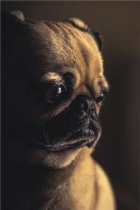 Sad Puppy Diary