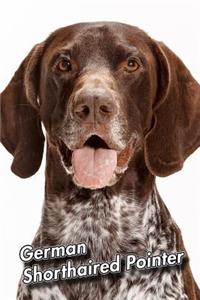 German Shorthaired Pointer