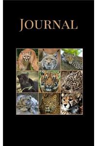 Journal