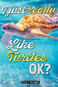 I Just Really Like Turtles Ok?