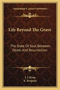 Life Beyond The Grave