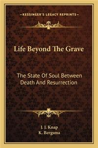 Life Beyond the Grave