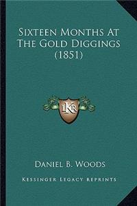 Sixteen Months At The Gold Diggings (1851)