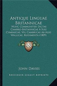 Antique Linguae Britannicae