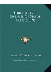 Three Insects Enemies Of Shade Trees (1899)