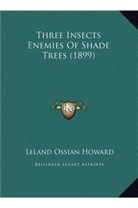 Three Insects Enemies Of Shade Trees (1899)