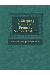 Sleeping Memory