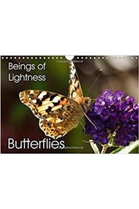 Beings of Lightness Butterflies 2017