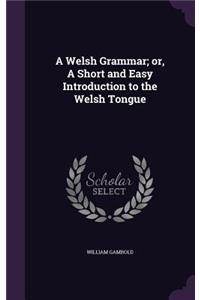 Welsh Grammar; or, A Short and Easy Introduction to the Welsh Tongue