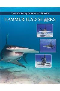 Hammerhead Sharks