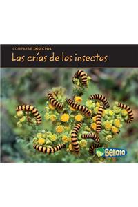 Las Crías de Los Insectos