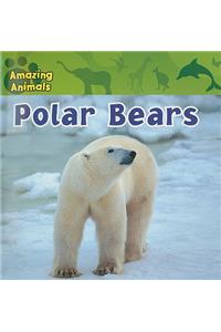 Polar Bears