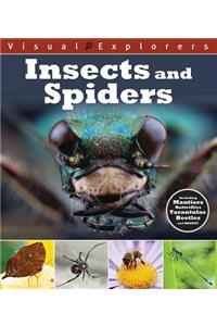 Insects and Spiders