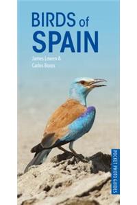 Birds of Spain