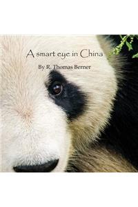Smart Eye in China