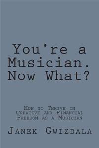 You're a Musician. Now What?