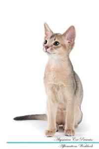 Abyssinian Cat Affirmations Workbook Abyssinian Cat Presents
