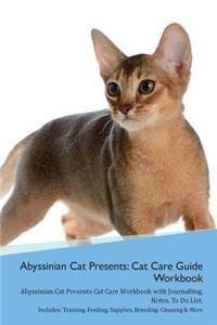 Abyssinian Cat Presents