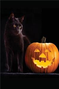 Halloween Black Cat Journal