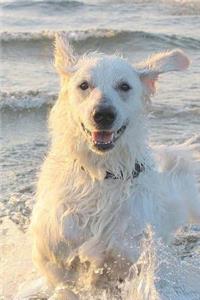 White Dog Playing in the Surf Pet Journal