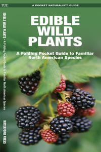 Edible Wild Plants