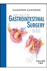 Atlas of Gastrointestinal Surgery, Volume 2