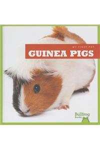 Guinea Pigs