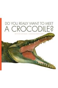 Do You Really Want to Meet a Crocodile?