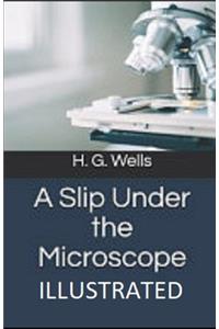 A Slip Under the Microscope Illustrated