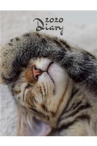 2020 Diary