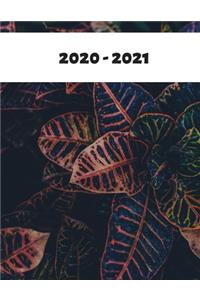 2020-2021