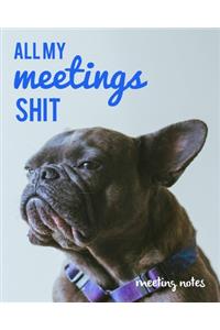 All My Meetings Shit Meeting Notes