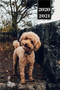Poodle Dog Calendar Week Planner 2020 / 2021 - Happy Smile